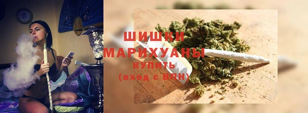индика Волосово