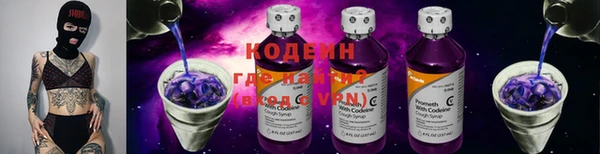 индика Волосово
