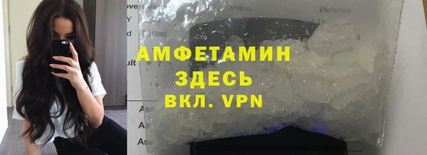 индика Волосово