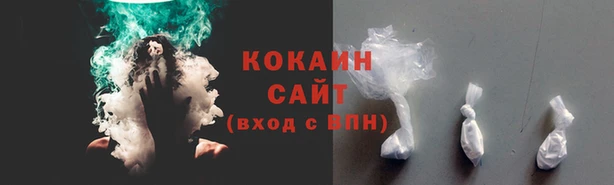 индика Волосово