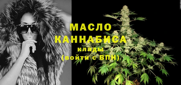 индика Волосово