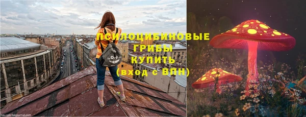 индика Волосово