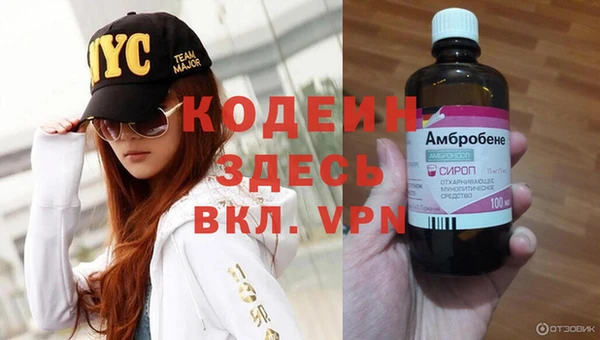 индика Волосово