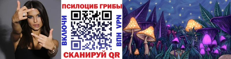 shop наркотические препараты  Новокузнецк  Псилоцибиновые грибы прущие грибы 