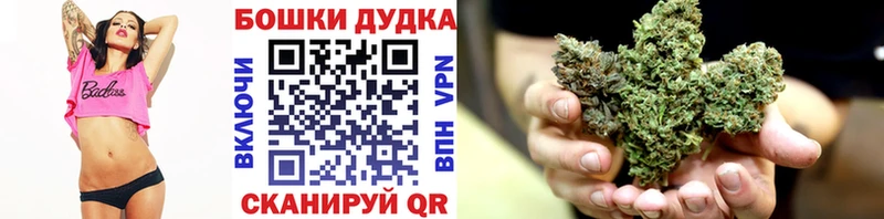 Каннабис SATIVA & INDICA Новокузнецк
